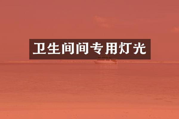 卫生间间专用灯光