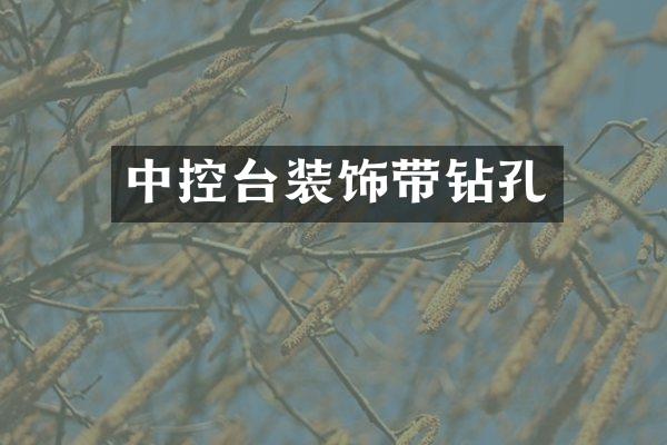 中控台装饰带钻孔