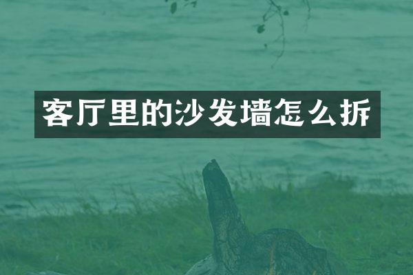 客厅里的沙发墙怎么拆