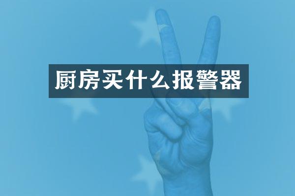 厨房买什么报警器