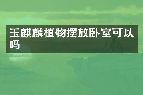 玉麒麟植物摆放卧室可以吗