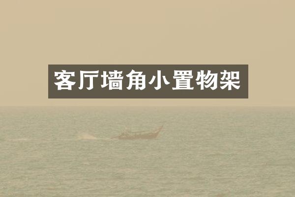 客厅墙角小置物架