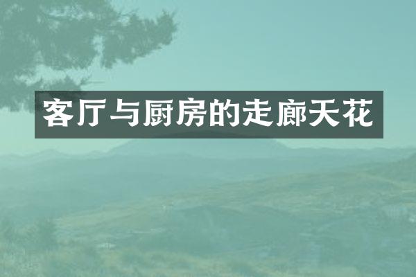客厅与厨房的走廊天花