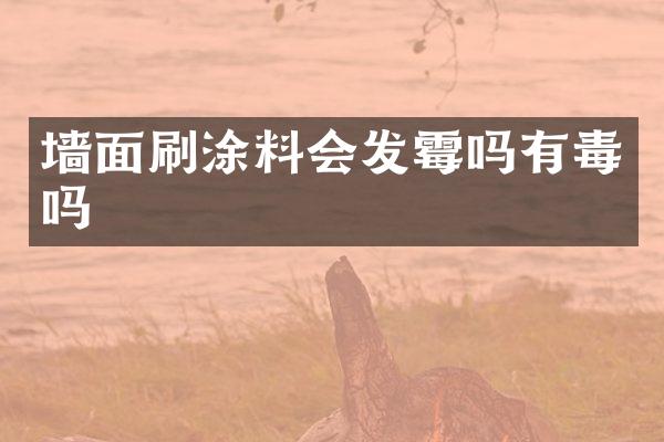 墙面刷涂料会发霉吗有毒吗