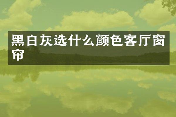 黑白灰选什么颜色客厅窗帘