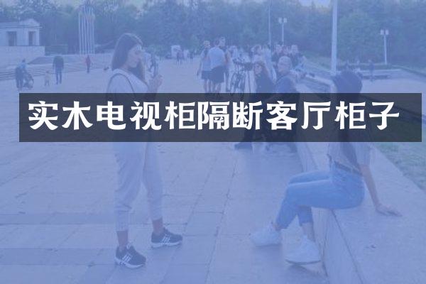 实木电视柜隔断客厅柜子
