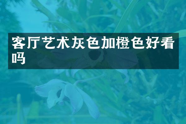 客厅艺术灰色加橙色好看吗