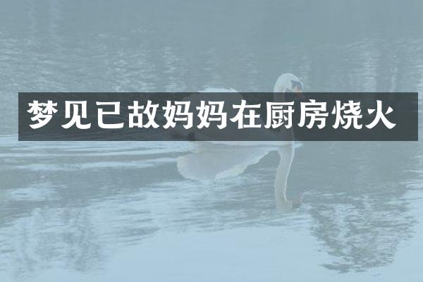梦见已故妈妈在厨房烧火