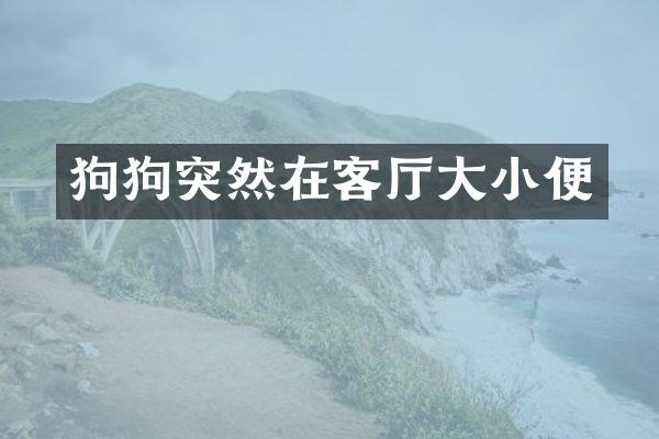 狗狗突然在客厅大小便