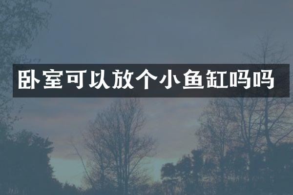 卧室可以放个小鱼缸吗吗
