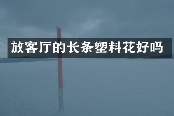 放客厅的长条塑料花好吗