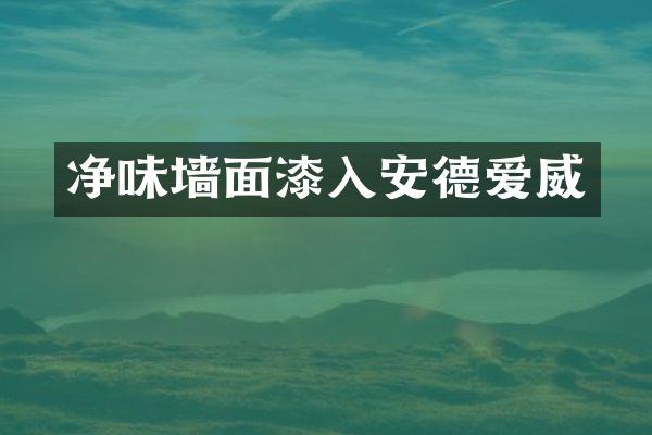 净味墙面漆入安德爱威