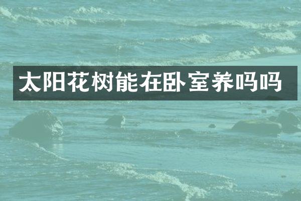 太阳花树能在卧室养吗吗