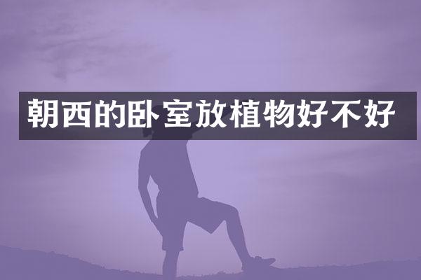朝西的卧室放植物好不好