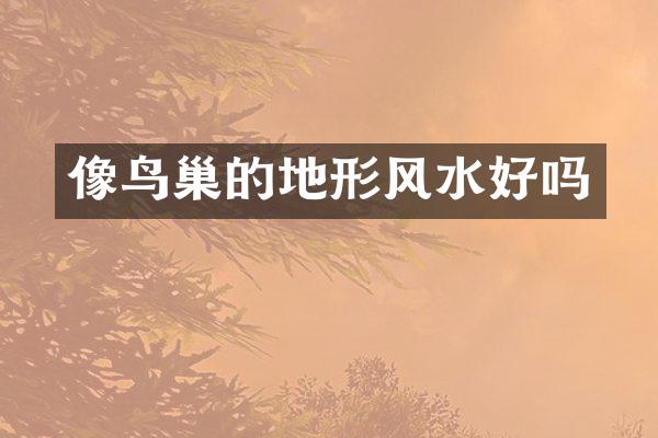 像鸟巢的地形风水好吗
