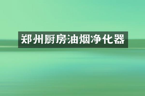 郑州厨房油烟净化器