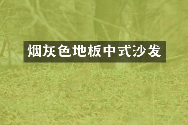 烟灰色地板中式沙发