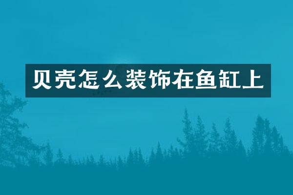 贝壳怎么装饰在鱼缸上