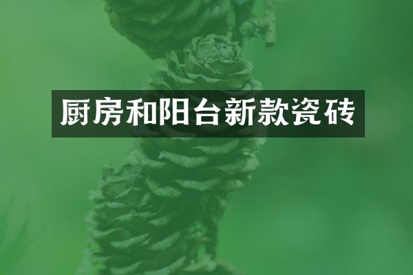 厨房和阳台新款瓷砖