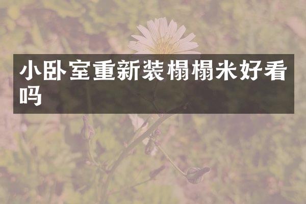 小卧室重新装榻榻米好看吗