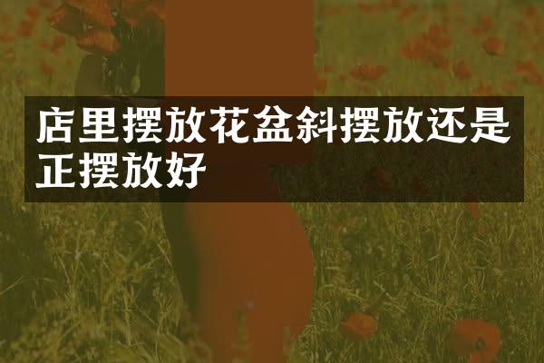 店里摆放花盆斜摆放还是正摆放好