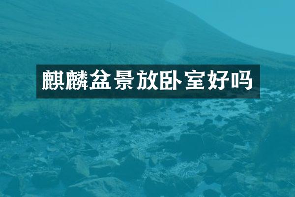 麒麟盆景放卧室好吗