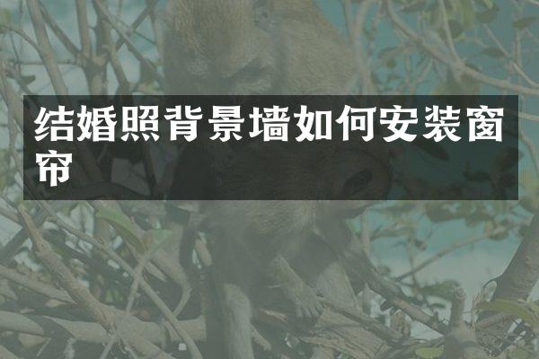 结婚照背景墙如何安装窗帘