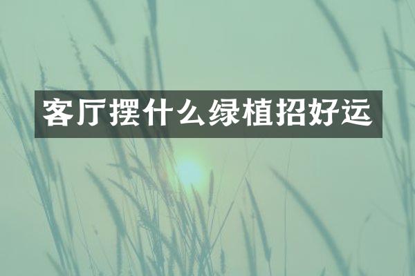 客厅摆什么绿植招好运