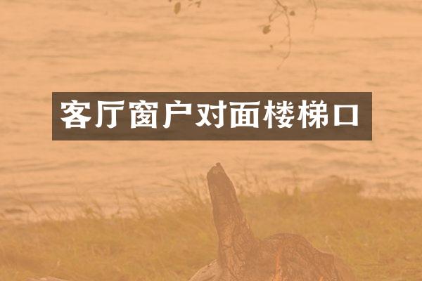 客厅窗户对面楼梯口