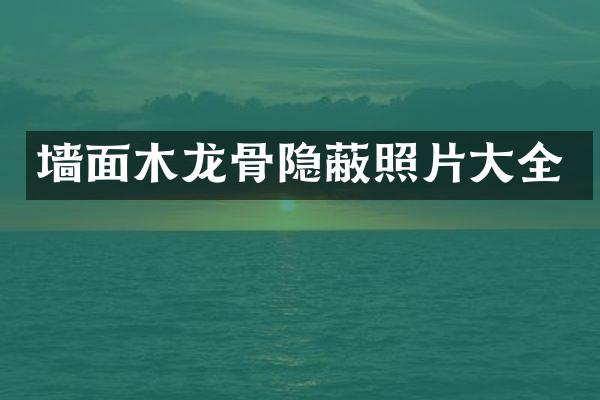 墙面木龙骨隐蔽照片大全
