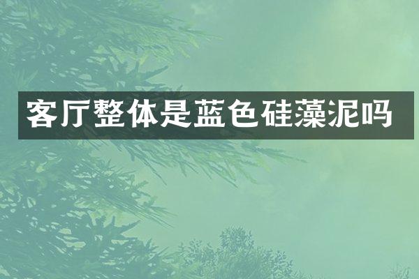 客厅整体是蓝色硅藻泥吗