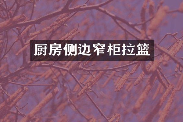 厨房侧边窄柜拉篮
