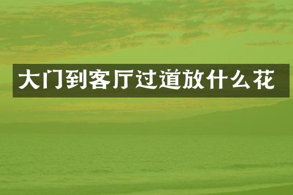 大门到客厅过道放什么花