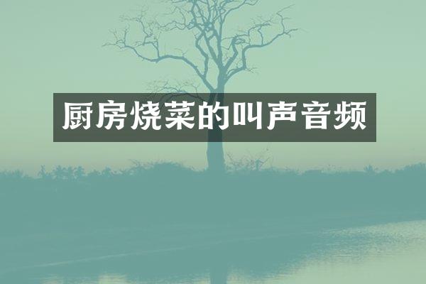 厨房烧菜的叫声音频