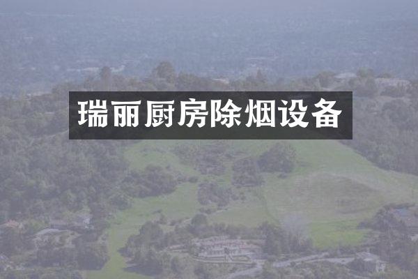 瑞丽厨房除烟设备