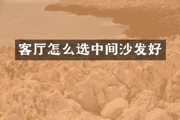 客厅怎么选中间沙发好
