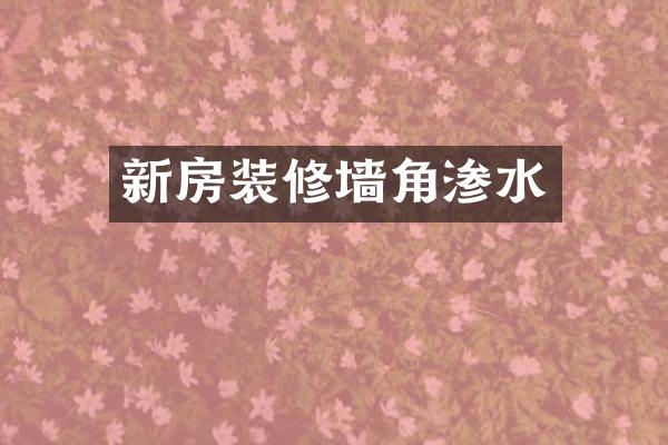 新房装修墙角渗水