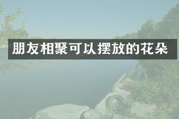 朋友相聚可以摆放的花朵