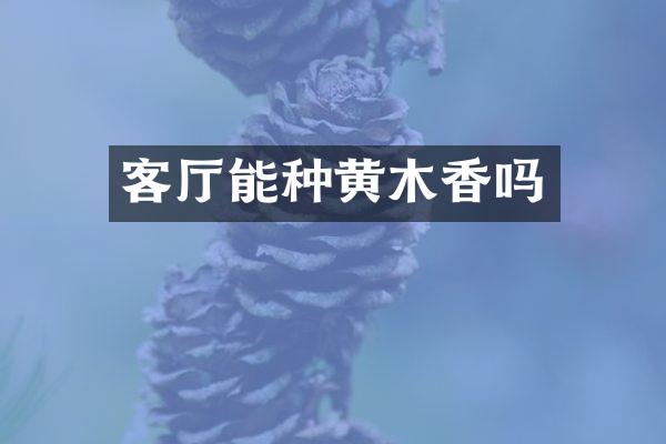 客厅能种黄木香吗