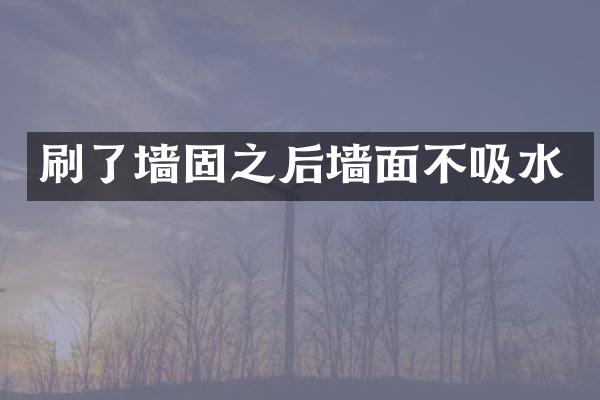 刷了墙固之后墙面不吸水