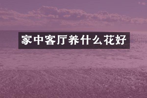 家中客厅养什么花好