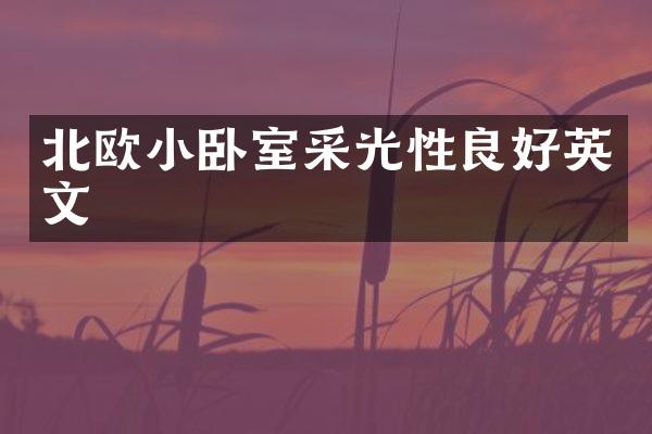 北欧小卧室采光性良好英文