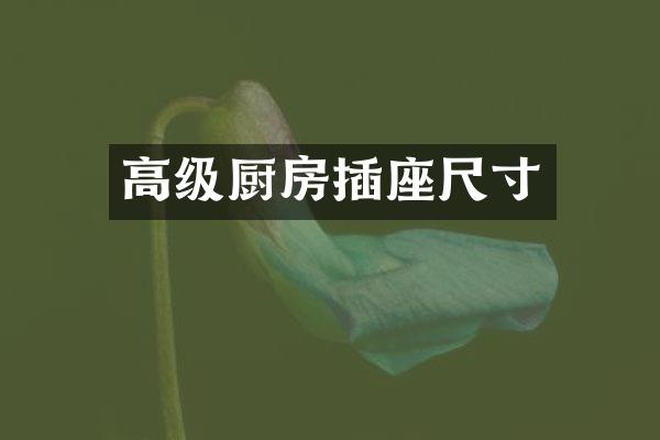 高级厨房插座尺寸