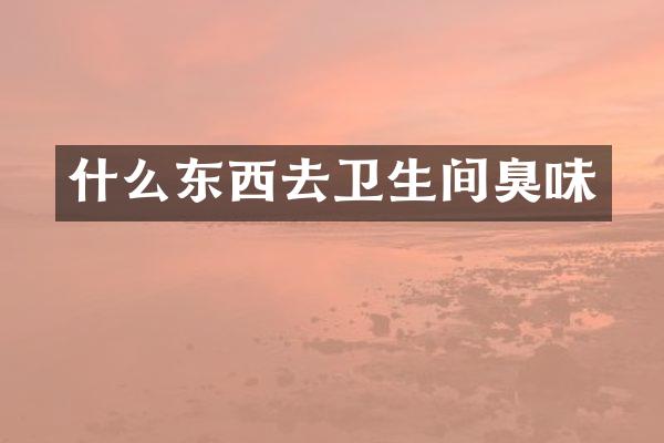 什么东西去卫生间臭味