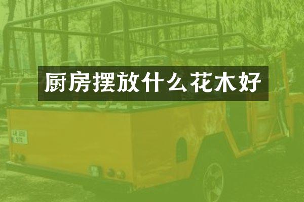 厨房摆放什么花木好