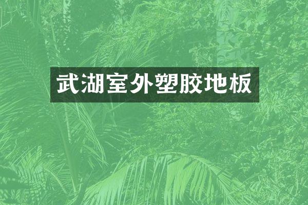武湖室外塑胶地板