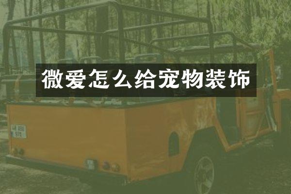 微爱怎么给宠物装饰