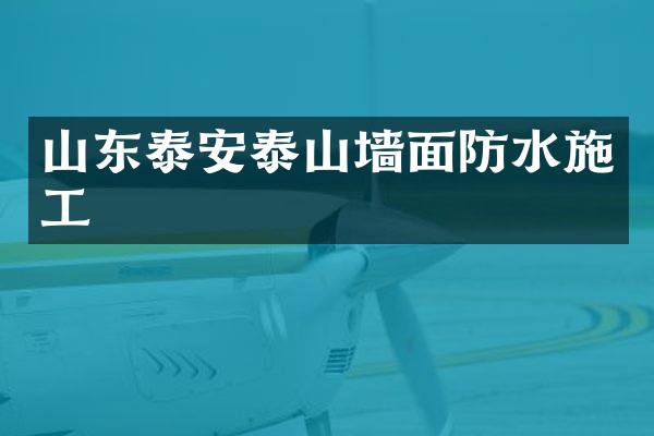山东泰安泰山墙面防水施工