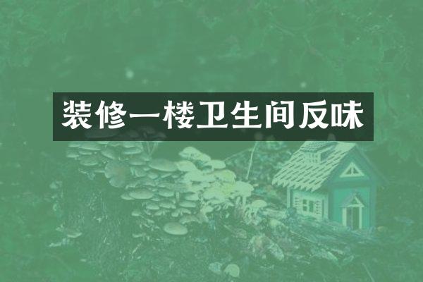 装修一楼卫生间反味