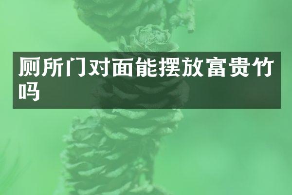 厕所门对面能摆放富贵竹吗